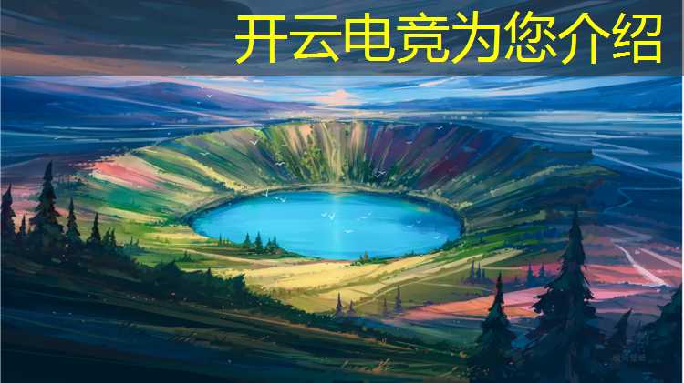 开云电竞为您介绍：日本残疾人电竞培训班